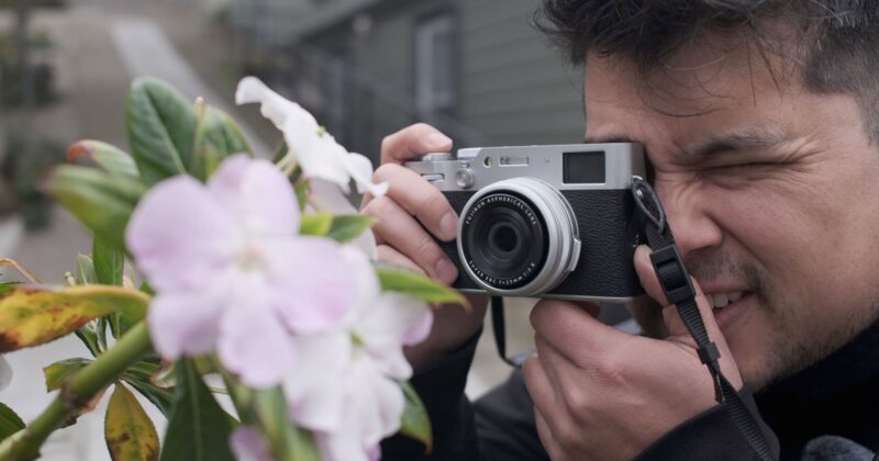 A person holds a camera up to their face, focusing and preparing to take a photo of light pink flowers on a leafy green plant outdoors.