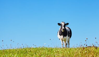 Antimicrobial breakthrough paves the way for next-gen solutions to fight AMR