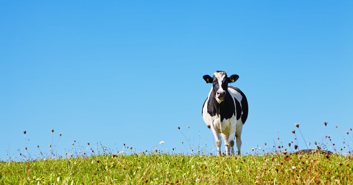 Antimicrobial breakthrough paves the way for next-gen solutions to fight AMR