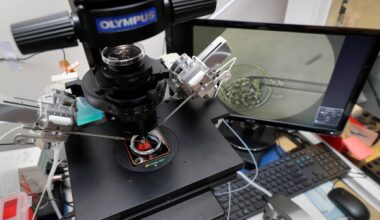 Ontario says 25 fertility clinics to get first round of funding as part of plan to reduce IVF wait lists