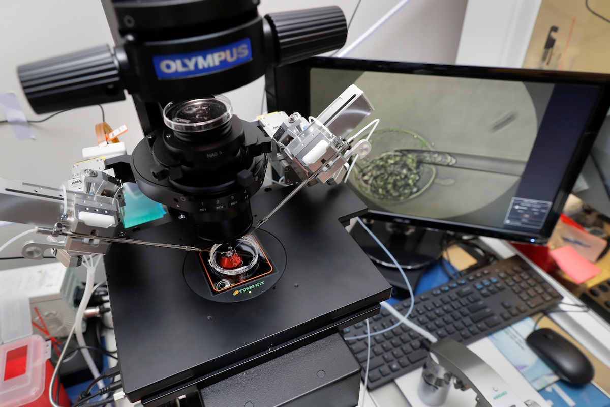 Ontario says 25 fertility clinics to get first round of funding as part of plan to reduce IVF wait lists