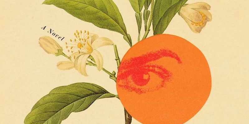 Literary Hub » What Should You Read Next? Here Are the Best Reviewed Books of the Week