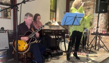 Former backing vocalist for Al Green brings Memphis sound to Wicklow pub
