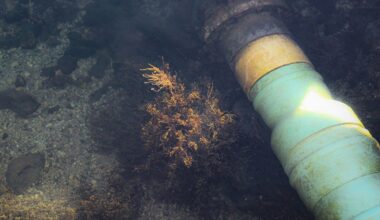 Over 0.75 Million Funding To Protect Critical Undersea Energy And Internet Infrastructure