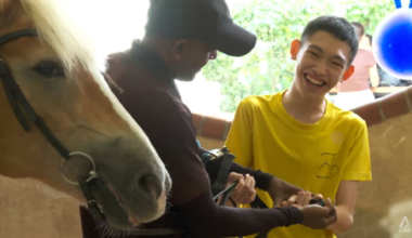 How animals are changing mental health care for some in Singapore