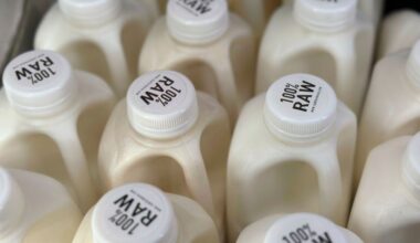 Diet trends and food fads: Why American values are changing when it comes to our health