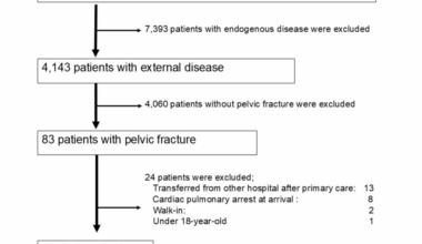 Pubic and Multiple Pelvic Fractures in Trauma Patients Are Associated With Intensive Care Unit Admission