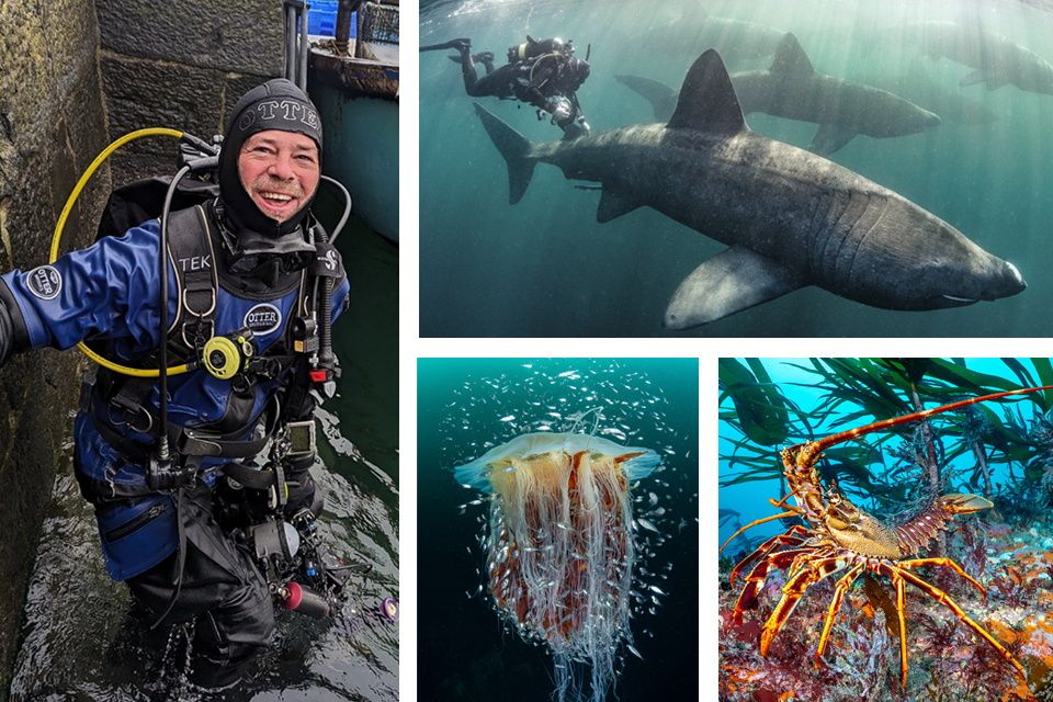 Underwater photographer Nigel Motyer