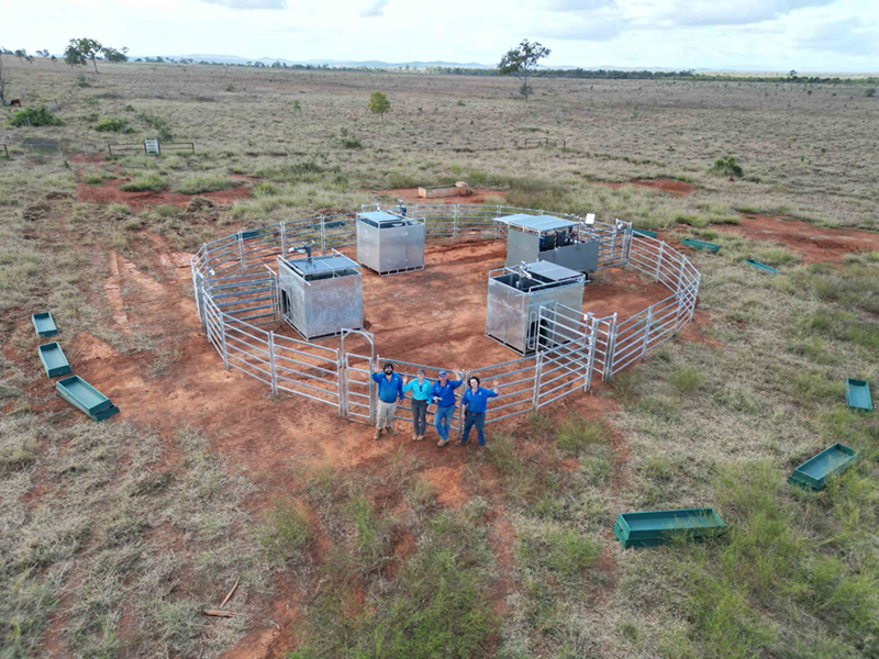 Genetic breakthrough opens gate to select for lower emissions