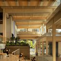 Bloomberg Student Center / BIG + Rockwell Group + Michael Van Valkenburgh Associates - Interior Photography, Wood, Glass, Chair