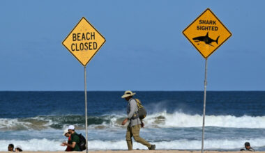 Bangkok Post - Australia fends off shark bites with new tech and old