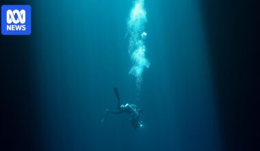 Thai cave rescuer Richard Harris explores risk-taking in the film Deeper
