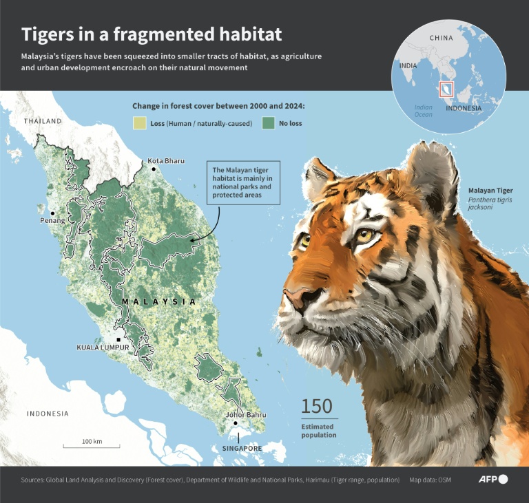 AFP News