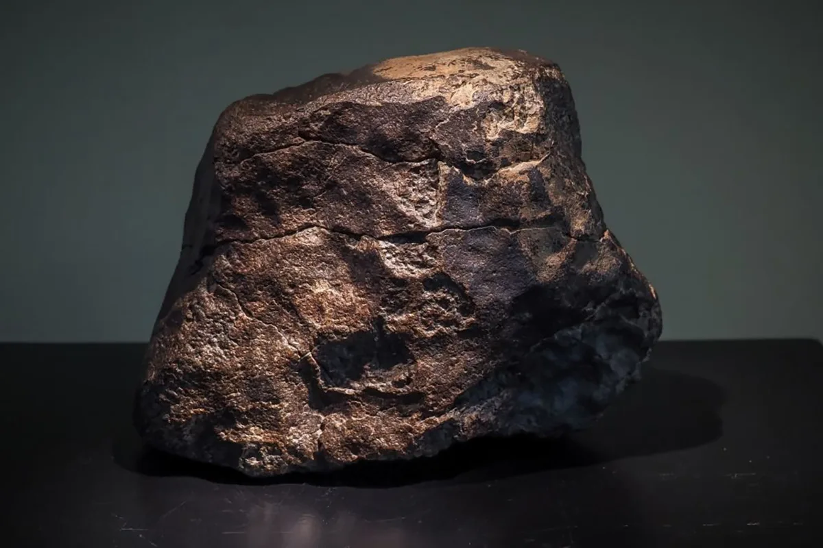 Meteorites are primordial remnants from the formation of the Solar System. Photo by GUILLAUME SOUVANT/AFP via Getty Images