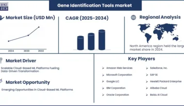 Cloud-Based Machine Learning (ML) Platforms Market Revenue Statistics