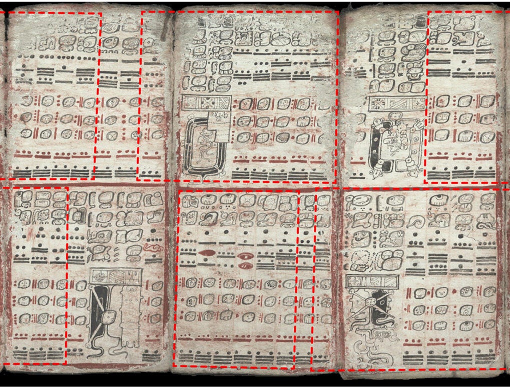 Brighter Side of News