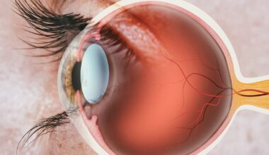 Genetic cause of hereditary vision loss discovered