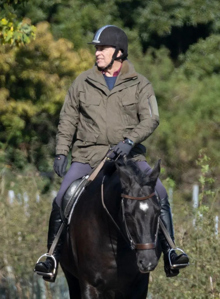 The disgraced duke has largely stayed out of the spotlight ever since his friendship with Jeffrey Epstein came to light. Shutterstock