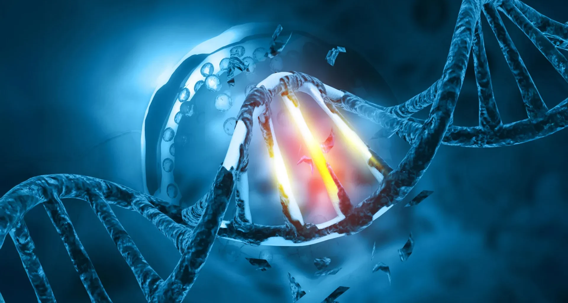 The hidden evolution making men’s sperm more dangerous with age