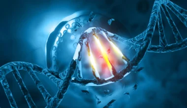 The hidden evolution making men’s sperm more dangerous with age