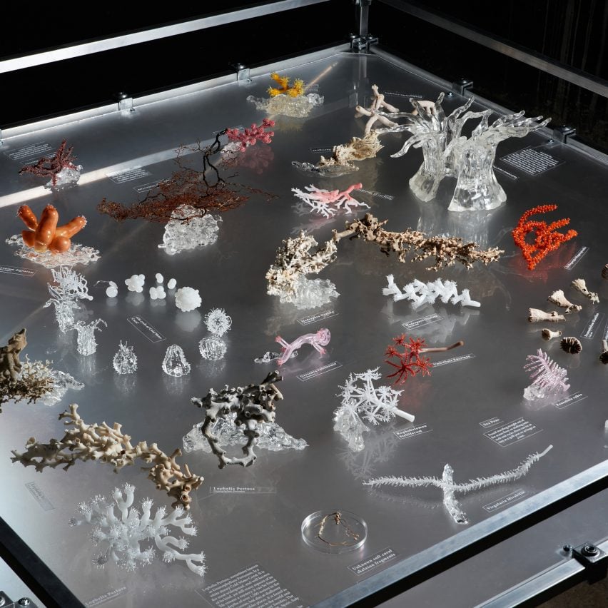 Photo of small glass models of deep-sea coral in Alice Baker's Depicting Dark Waters project