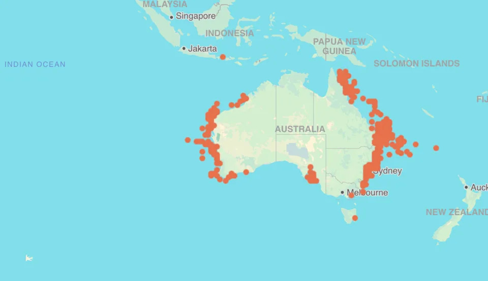 A map showing dusky shark distribution.