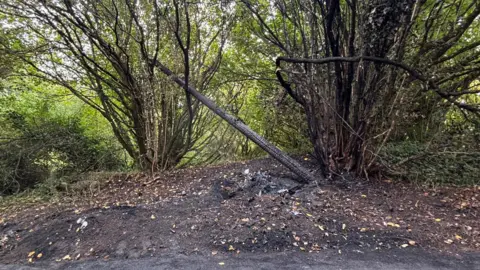 Councillor Craig Monks A burnt telegraph pole learning at 45 degrees surrounded by scorched bushes and scorched soil.
