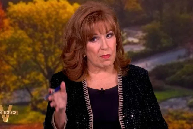 ABC Joy Behar on 'The View'