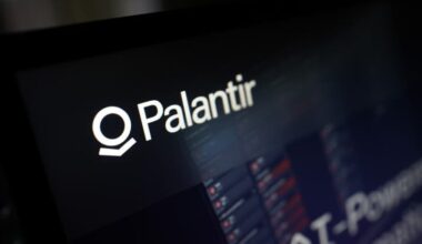 What AI Bubble? For Cathie Wood, Palantir Is The Secret Weapon