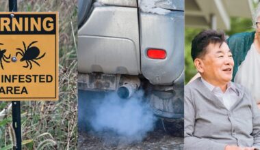 Lone star ticks, nitrogen dioxide pollution, and a dementia care study highlight this month's research roundup