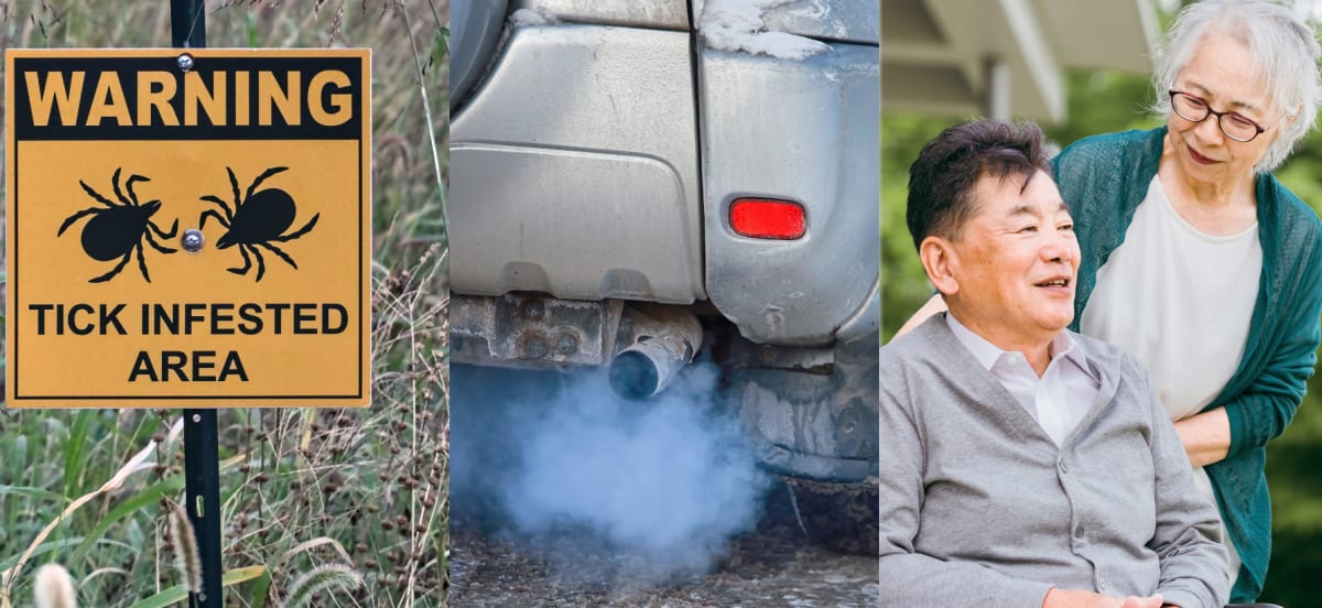 Lone star ticks, nitrogen dioxide pollution, and a dementia care study highlight this month's research roundup