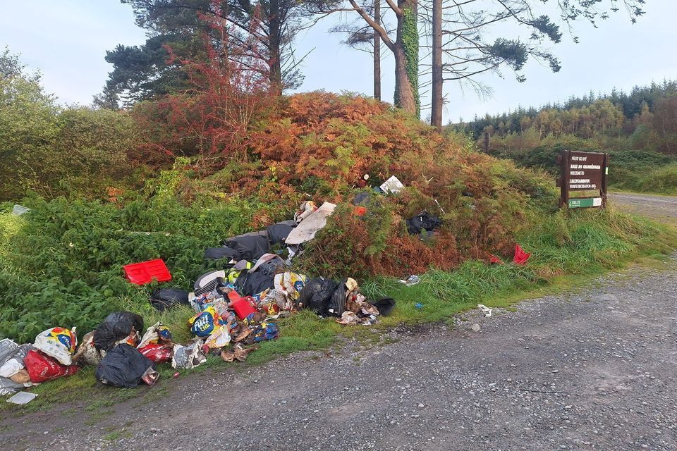 Rubbish dumbed at the entrance to Ballygamboom Wood last month. Photo: Cllr Tommy Griffin