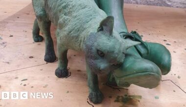 Cat on novelist's Dorchester statue 'not Susie' after complaints