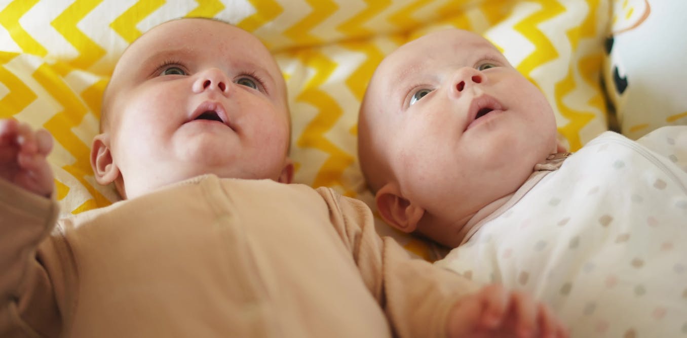 Why do humans have near-equal numbers of male and female babies, unlike many other animals? A new genetic study looks for clues