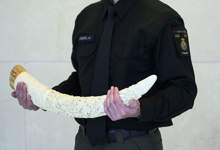 a man in a black police uniform holds a carved ivory elephant tusk in his hands