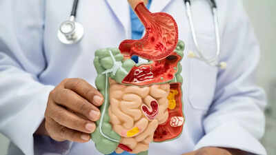 Gastroenterologist reveals 9 everyday foods that could boost digestion, immunity, and mood