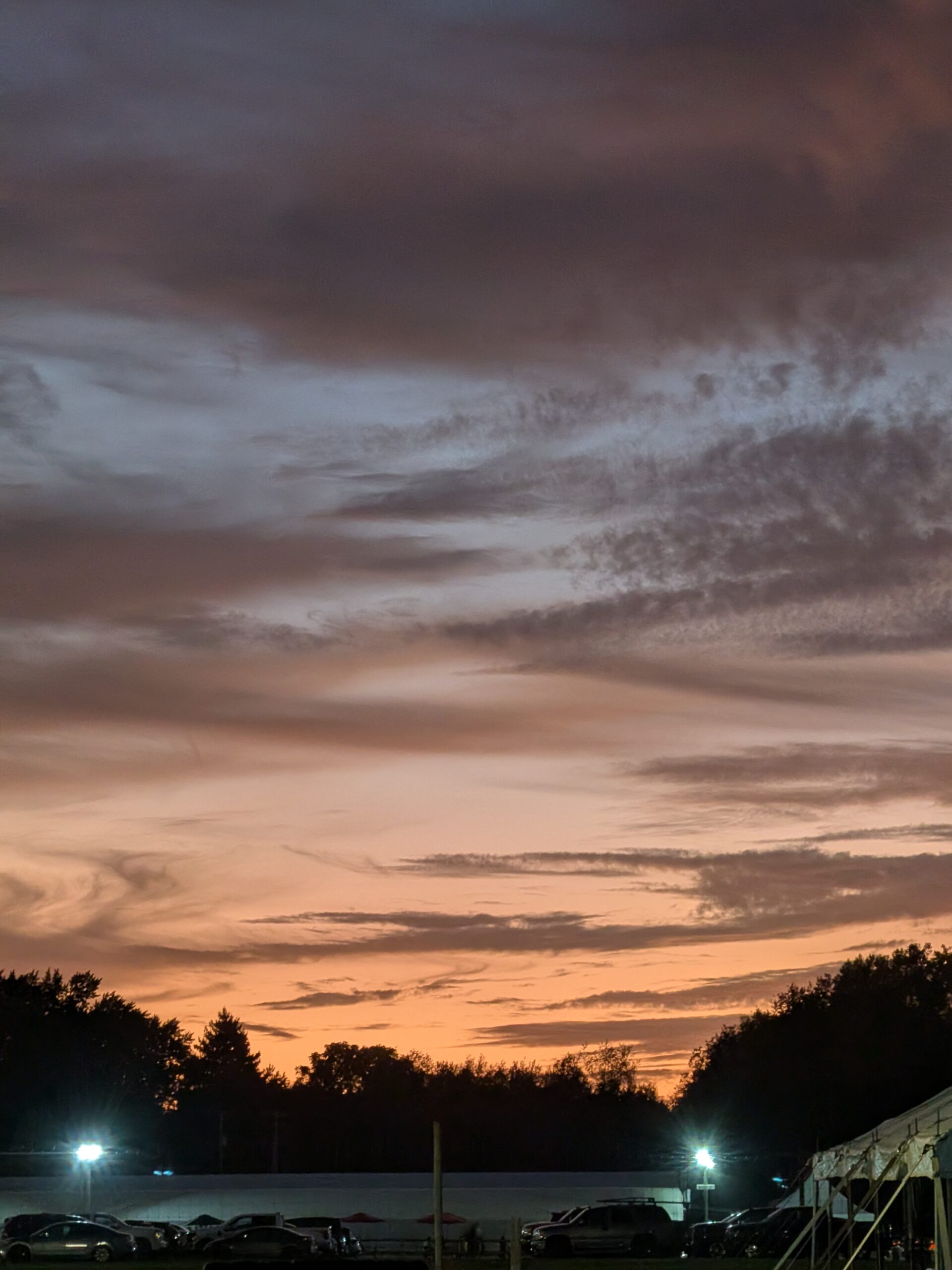 Photo of a sunset and trees, taken with the telephoto camera on the Pixel 10 Pro Fold.
