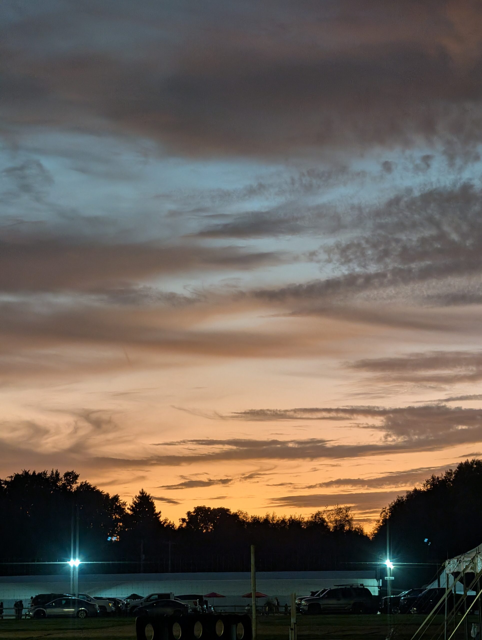 Photo of a sunset and trees, taken with the telephoto camera on the Pixel 10 Pro.