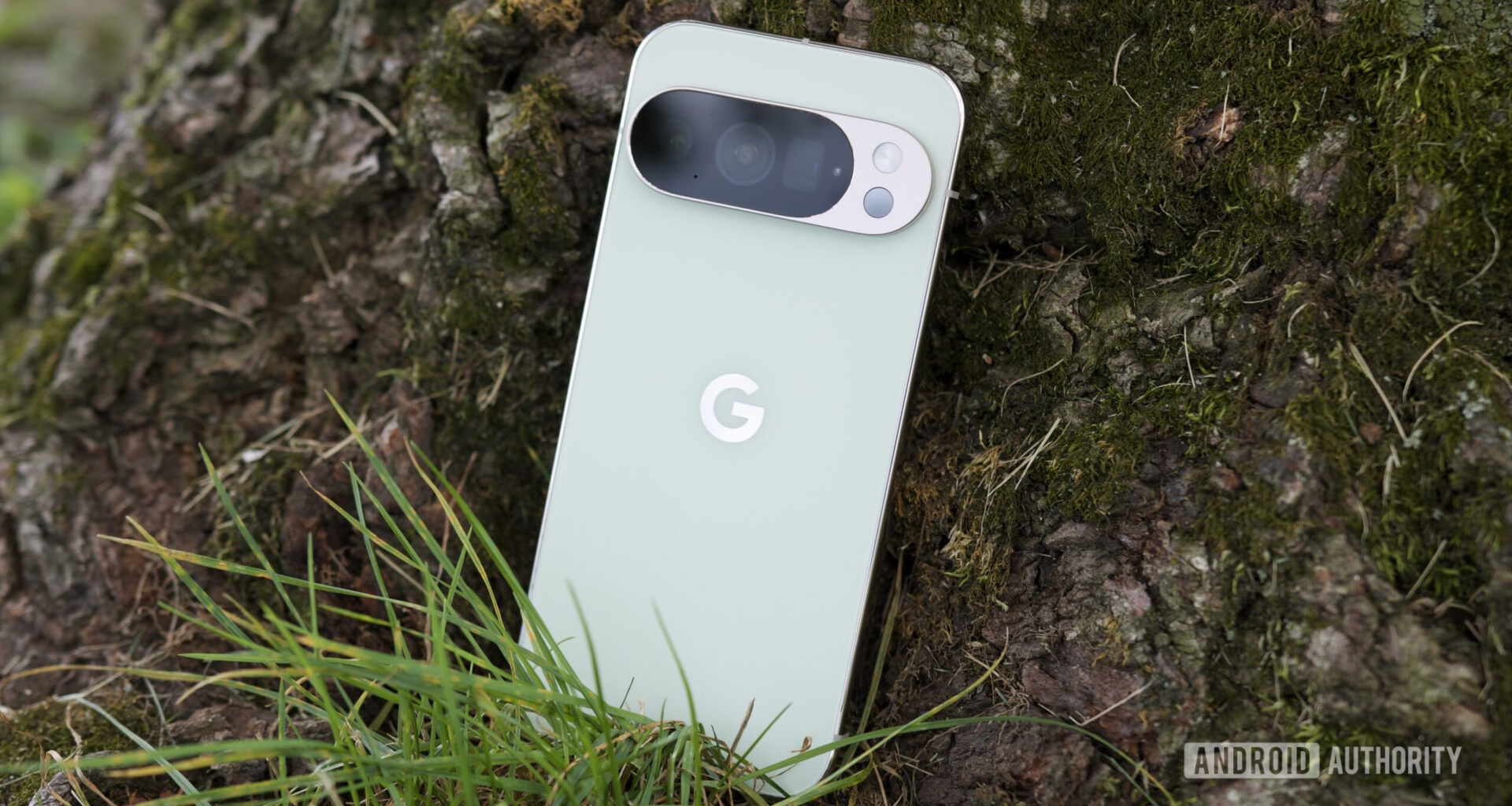The Google Pixel 10 Pro in Jade, resting against a tree.