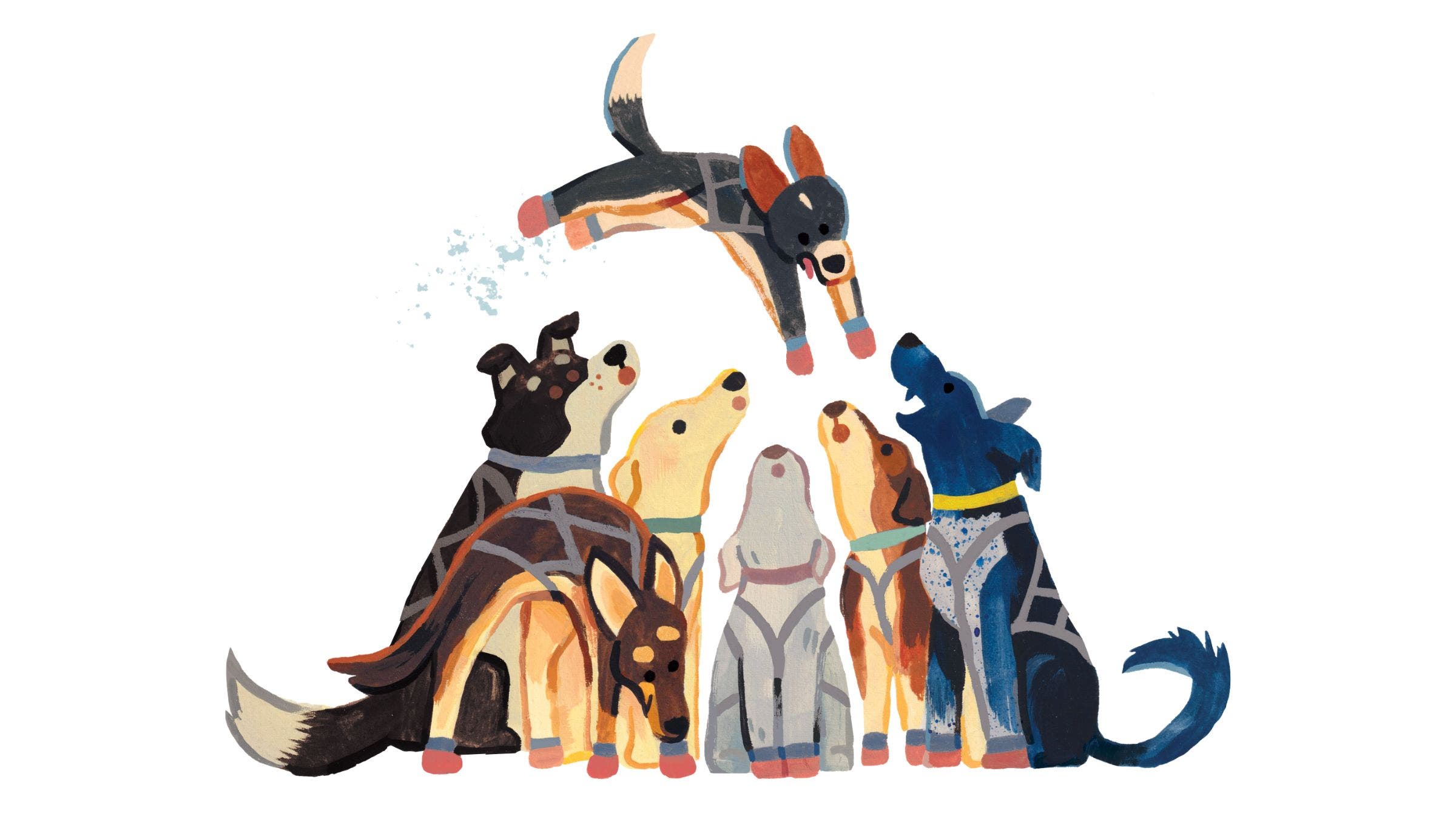 dogs together