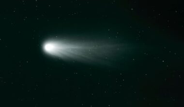 The Orionid Meteor Shower Is About to Peak in a Moonless Sky : ScienceAlert