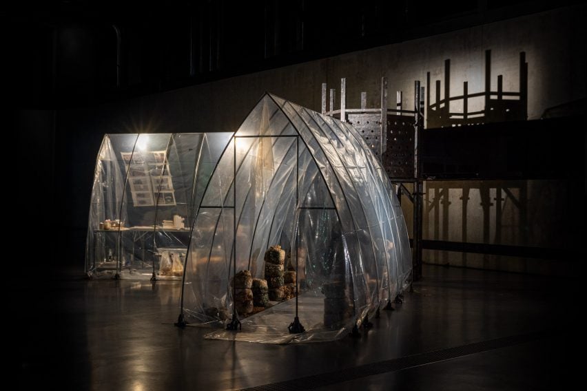 a photograph of an art installation