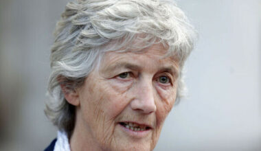 Gardaí stopped Catherine Connolly from hiring woman convicted of gun crime