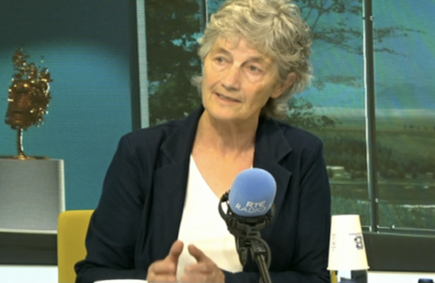 Connolly defends trying to hire woman convicted of gun crimes after criticism from Taoiseach - The Journal