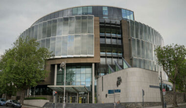 Man, 29, charged over alleged south Dublin assault spree remanded in custody - The Journal