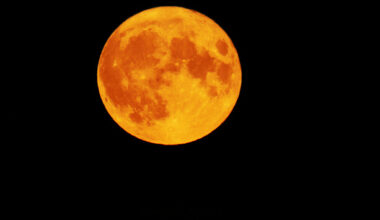 Did you catch last night's supermoon? It should be out again this evening - The Journal