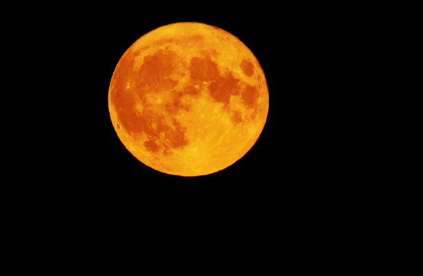 Did you catch last night's supermoon? It should be out again this evening - The Journal