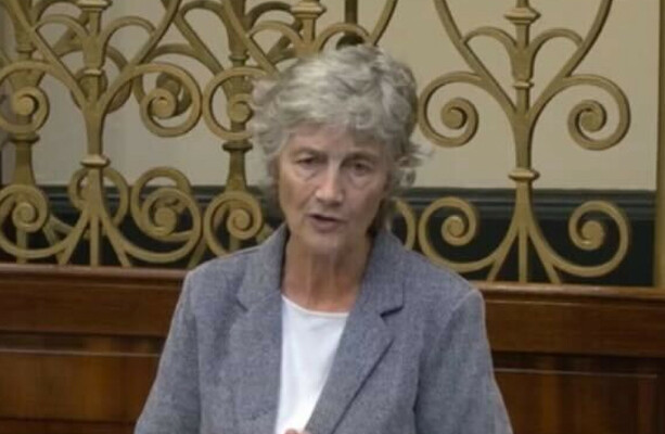 Catherine Connolly says there is no 'recognition' of climate emergency in Budget 2026 - The Journal