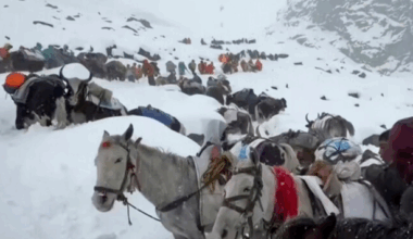 Stranded hikers successfully rescued near Mount Everest · TheJournal.ie