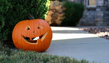 Have you put up Halloween decorations yet? · TheJournal.ie